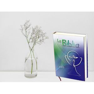 Biblia Dios Habla Hoy Letra Gigante