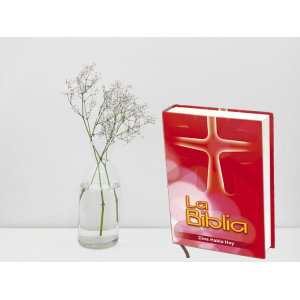 Biblia Dios Habla Hoy Letra Gigante 2