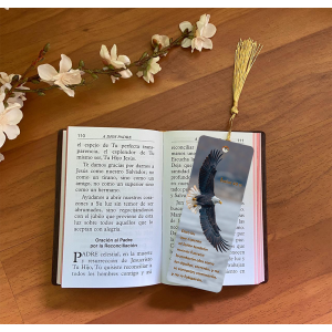 3D bookmark ( Eagle)