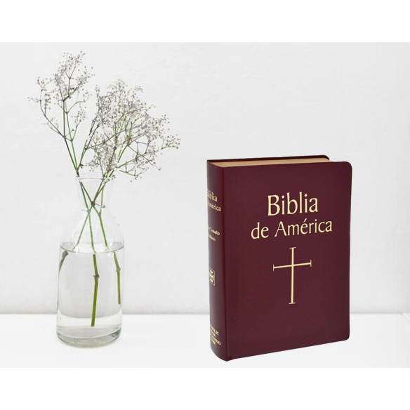 Biblia De América