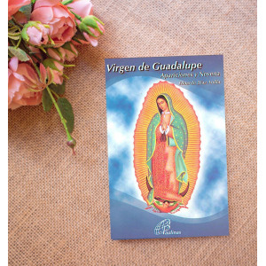 Virgen de Guadalupe Apariciones y Novena