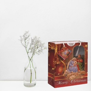 Red Christmas Gift Bags