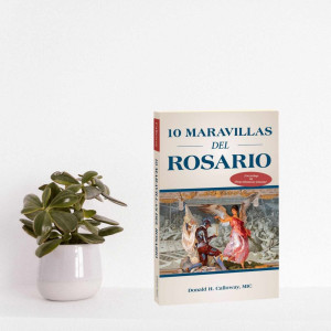 10 MARAVILLAS del ROSARIO