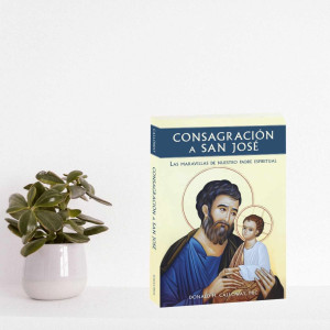 Consagracion a San Jose: Las Maravillas de nuestro padre espiritual