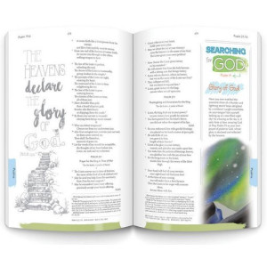 The Catholic Youth Bible 2