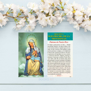 Estampa - Virgen de la Divina Providencia