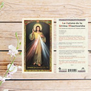 Estampa Plastificada - Divina Misericordia