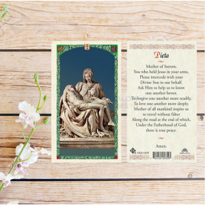 Laminated Prayer Card The Pieta  