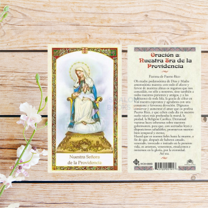 Estampa Plastificada - Virgen De Providencia