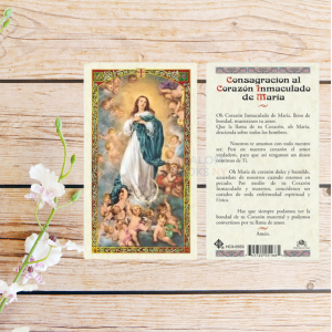 Estampa Plastificada - Inmaculado Corazon De Maria