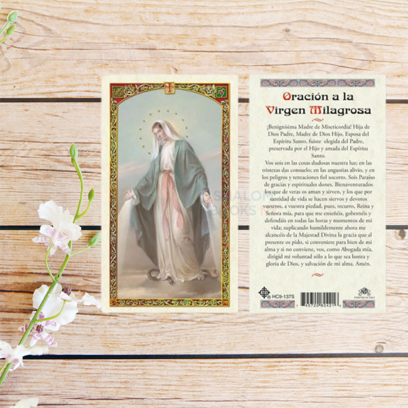 Estampa Plastificada - Virgen Milagrosa