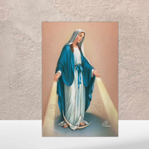 Cuaderno argollado Virgen de la Medalla Milagrosa rayado
