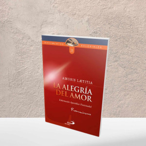 Exhortación apostólica alegría del amor