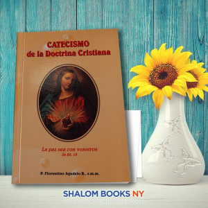 Catecismo de la doctrina cristiana