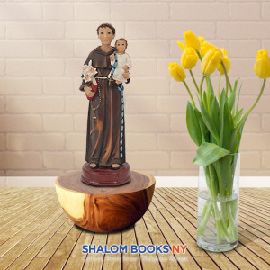 Saint Anthony 6"