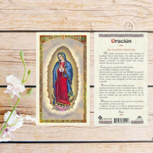 Laminated Print - Our Lady of Guadalupe