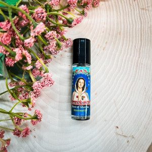 Devotional Oil - Rosa Mistica