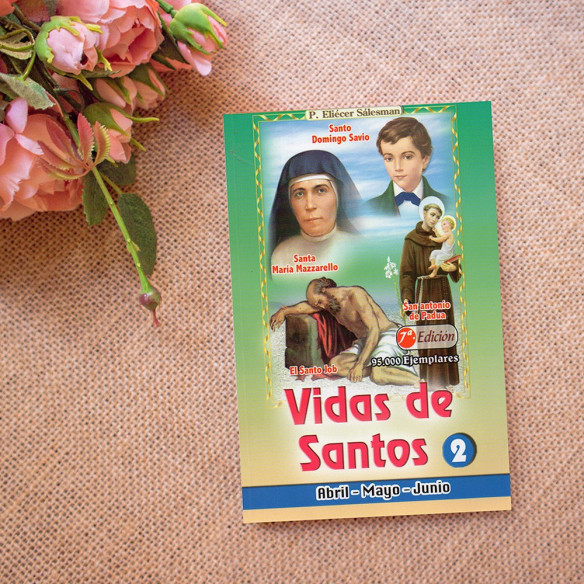 Vida de Santos 2